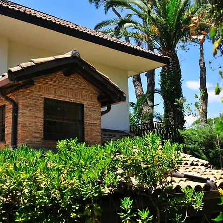 Casa Di Antonio_etna Vacanze * 트레카스타니