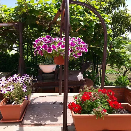 Casa Di Antonio_etna Vacanze Oda ve Kahvaltı Trecastagni