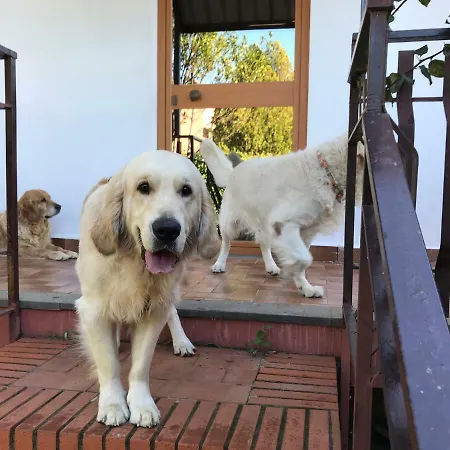 Oda ve Kahvaltı Casa Di Antonio_etna Vacanze *