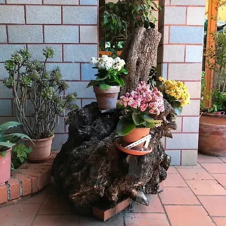 Casa Di Antonio_etna Vacanze Oda ve Kahvaltı Trecastagni